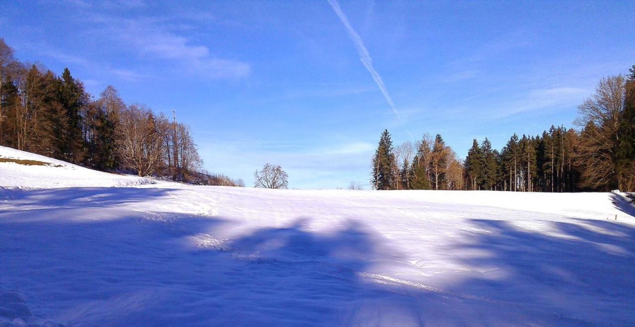 Pension Zur Altdeutschen Zschopau Exteriör bild